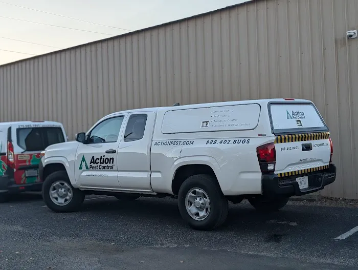 Action Pest Control Picture 9