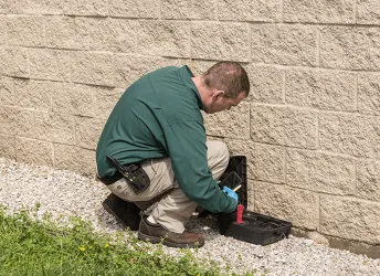 Action Pest Control Picture 2