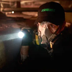Terminix Picture 9