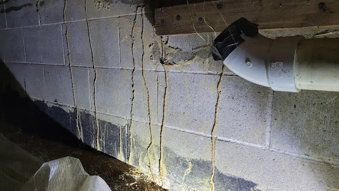 Tom's Termite & Pest Control Picture 2