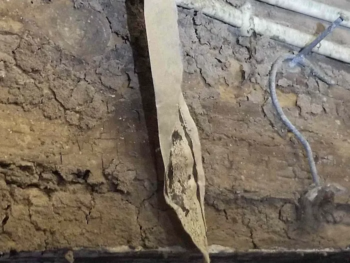 Tom's Termite & Pest Control Picture 5
