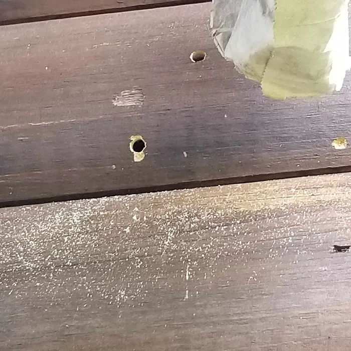 Tom's Termite & Pest Control Picture 8