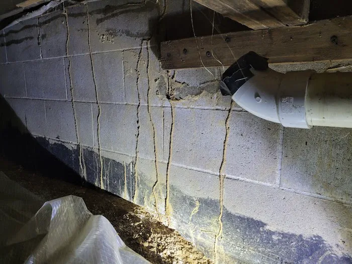 Tom's Termite & Pest Control Picture 3