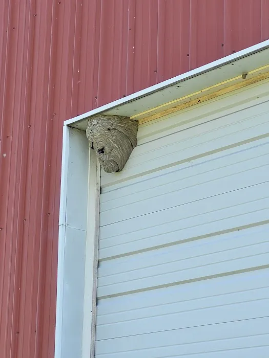 Tom's Termite & Pest Control Picture 4