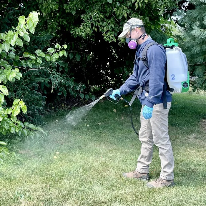 American Pest Management & Termite Picture 7