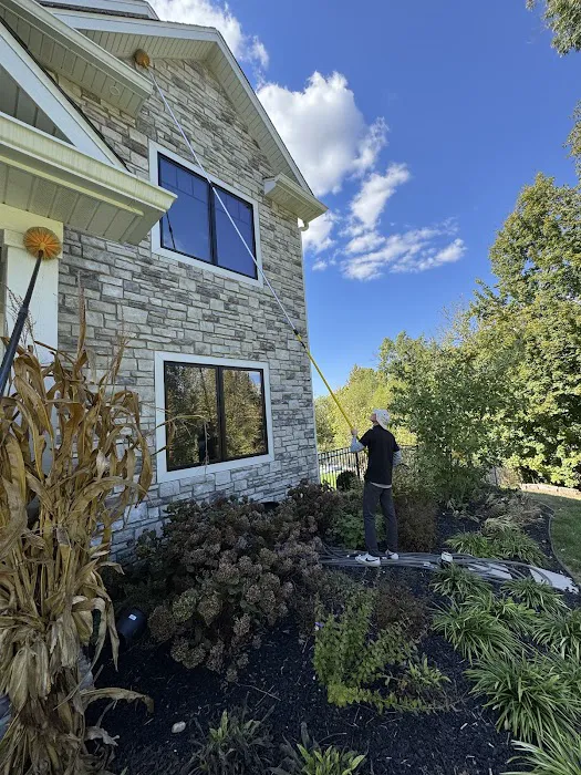EcoHaven Pest Control Picture 8