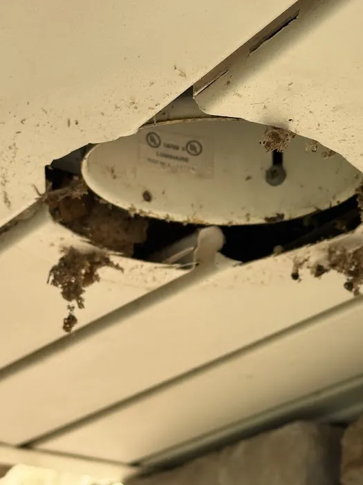 EcoHaven Pest Control Picture 7