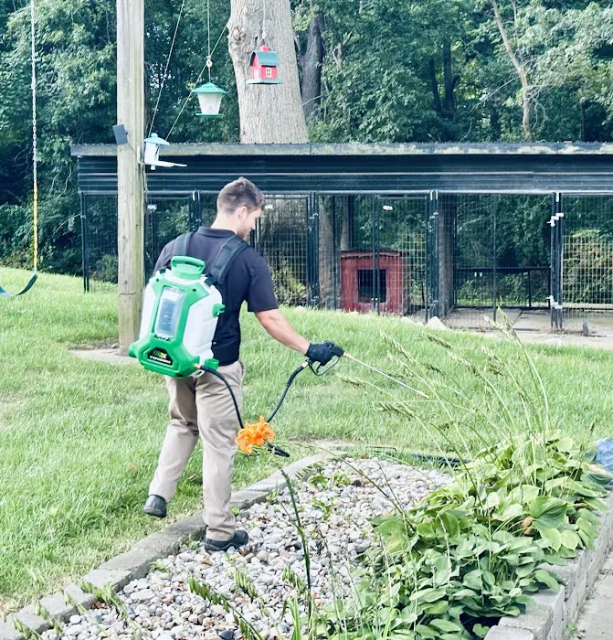 A Plus Pest and Wildlife Control Picture 10