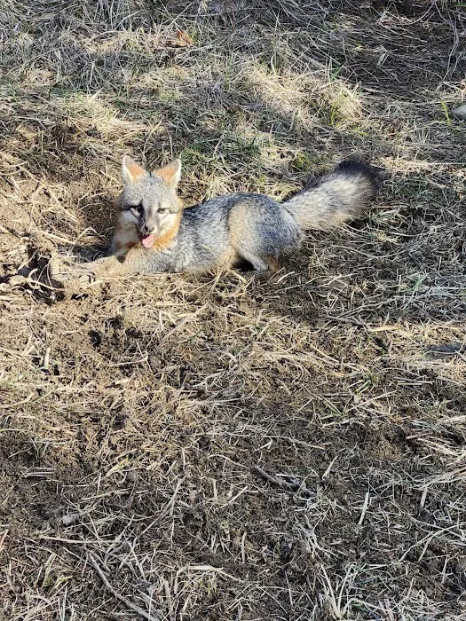 Bluegrass Wildlife Control, LLC Picture 2