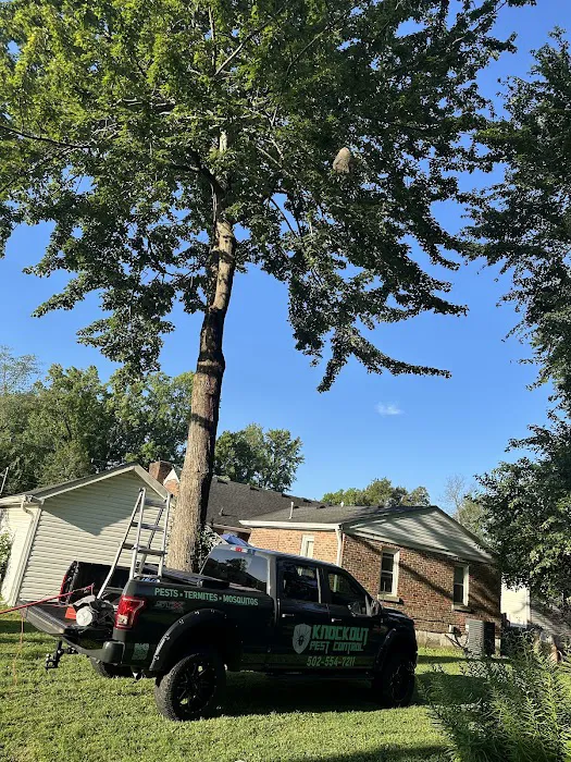 Knockout Pest Control Picture 1