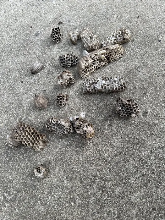 Knockout Pest Control Picture 2