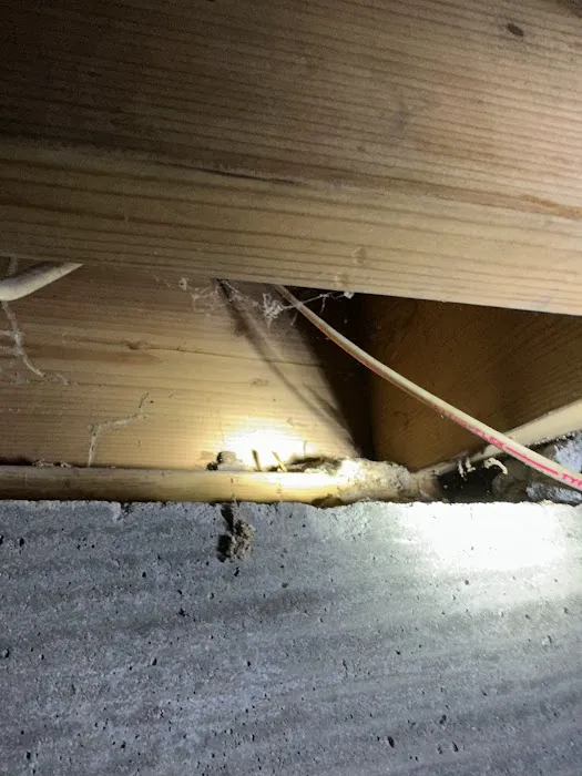 Knockout Pest Control Picture 9