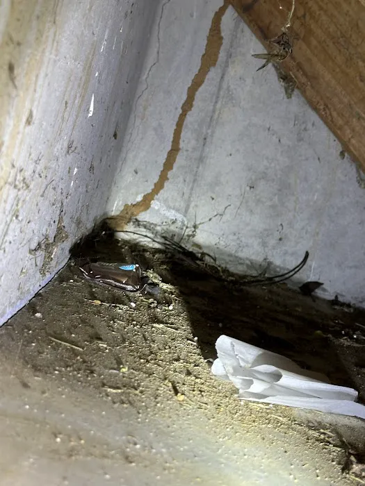 Knockout Pest Control Picture 8