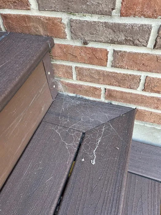 Greenix Pest Control Picture 2