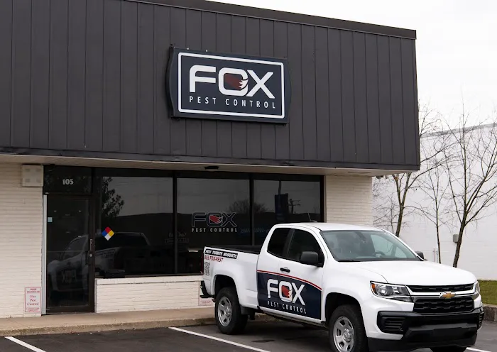 Fox Pest Control Lexington Picture 5