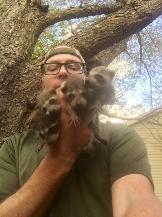 KYote Wildlife Control Picture 1