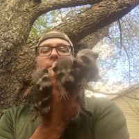 KYote Wildlife Control ico