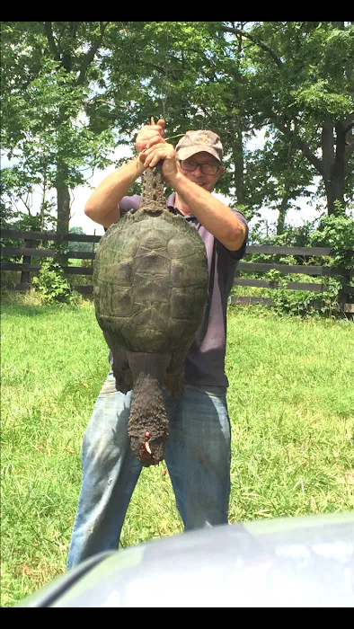 KYote Wildlife Control Picture 2