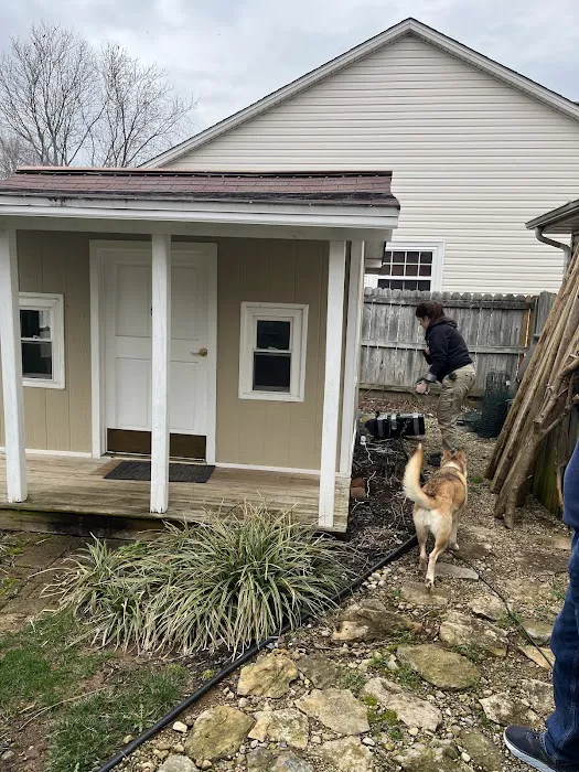 Critter Control of Lexington Picture 5