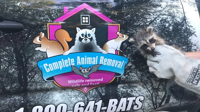Complete Animal Removal Picture 3