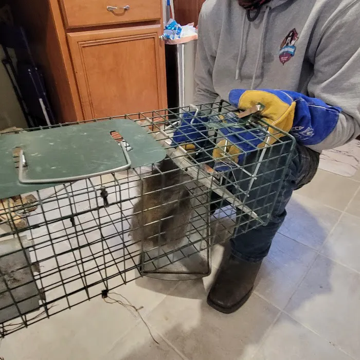 Complete Animal Removal Picture 6