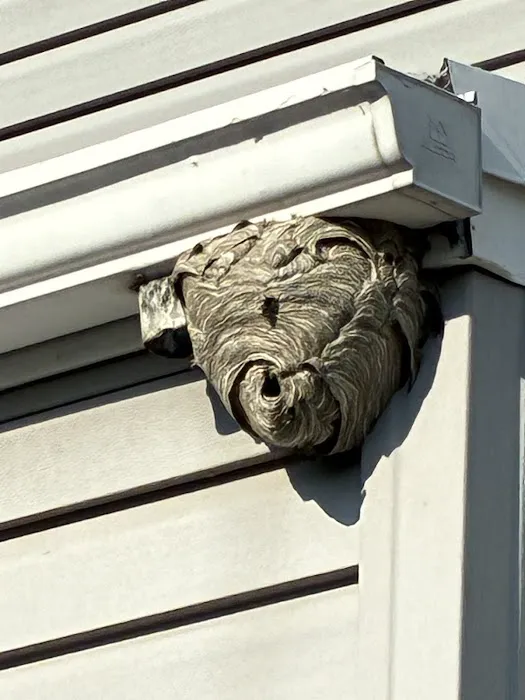 Greenix Pest Control Picture 1