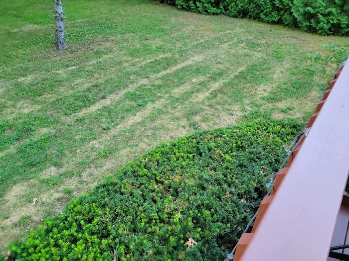 Greenix Pest Control Picture 4