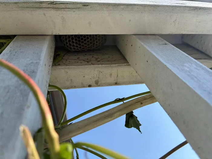 Greenix Pest Control Picture 2