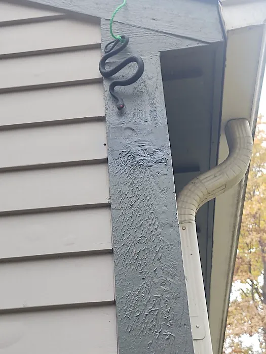 Ketchum Pest Control Picture 3