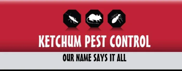 Ketchum Pest Control Picture 2