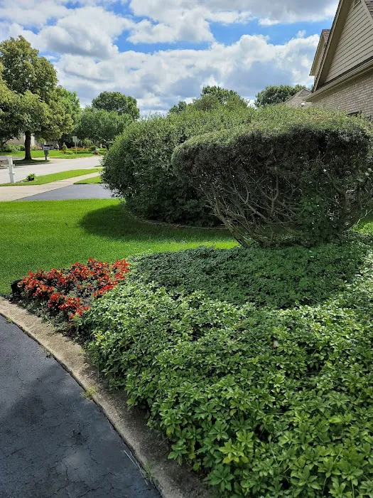 The Green Advantage Picture 2