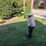 Green Pest Management