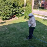 Green Pest Management ico