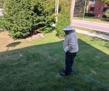 Green Pest Management