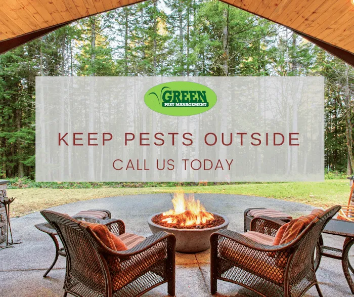 Green Pest Management Picture 2
