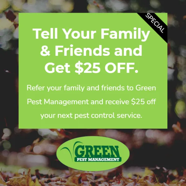 Green Pest Management Picture 5