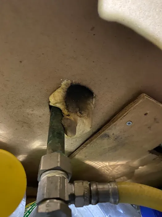Ace Exterminating Co., INC. Picture 1
