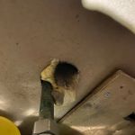 Ace Exterminating Co., INC.