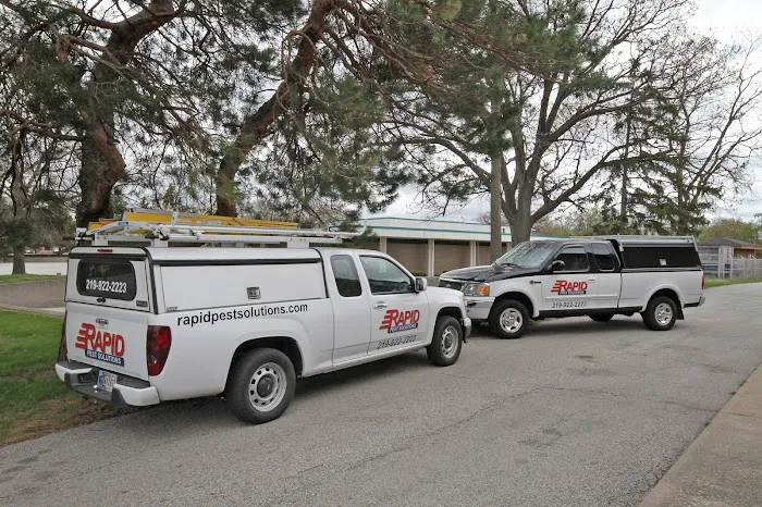 Rapid Pest Solutions Picture 1