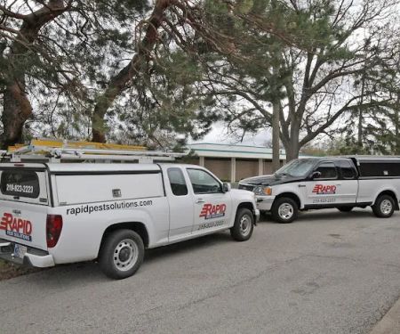 Rapid Pest Solutions