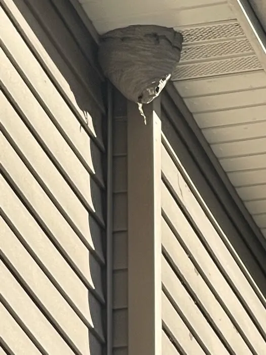 McKnight's Pest Management INC Picture 1