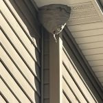 McKnight's Pest Management INC