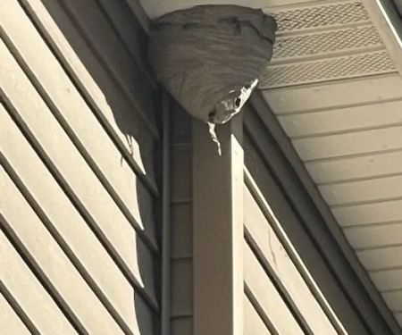 McKnight's Pest Management INC