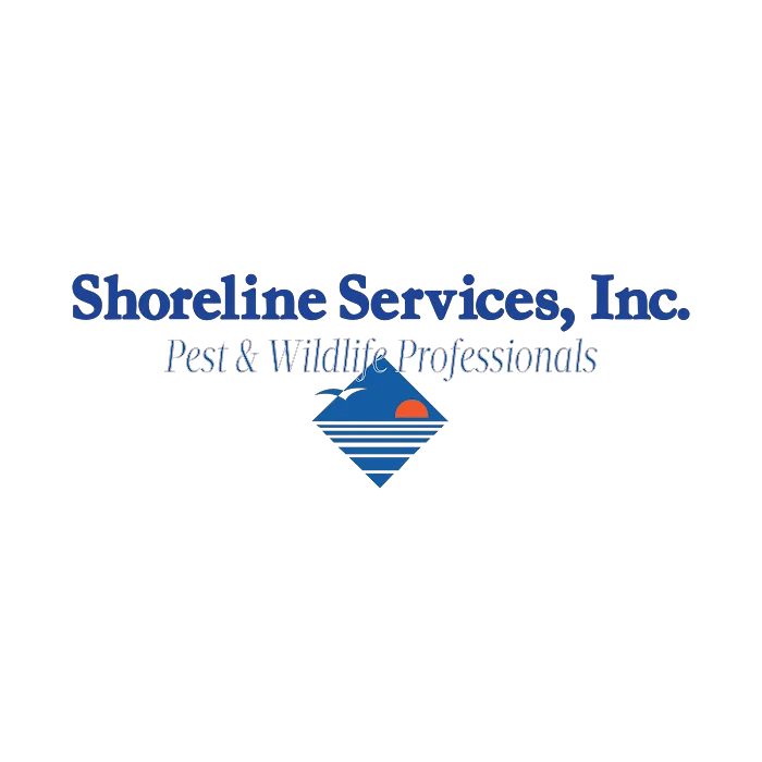 Shoreline Services Inc. Pest & Wildlife Control Picture 4