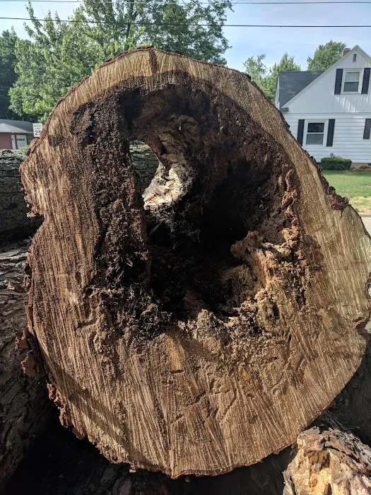 Empire Pest & Wildlife Control, LLC Picture 2