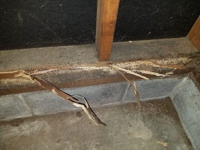 Empire Pest & Wildlife Control, LLC Picture 1