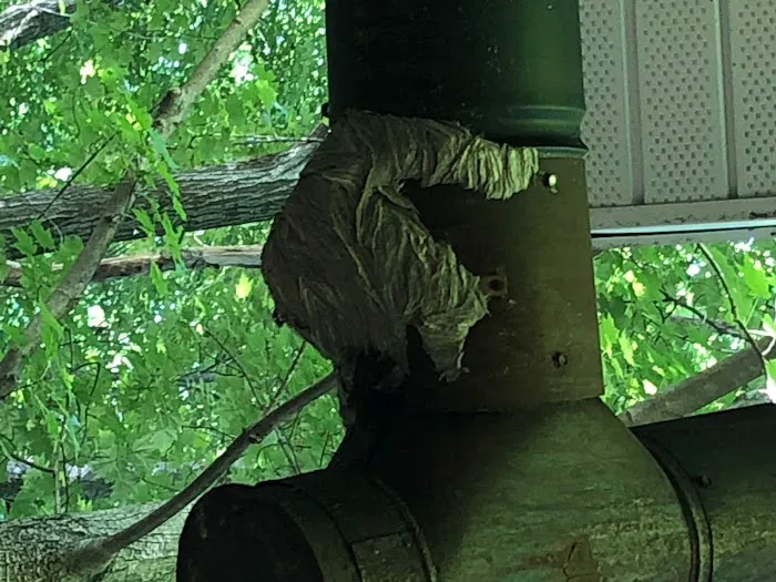 Simply Pest Control Solutions LLC Picture 2