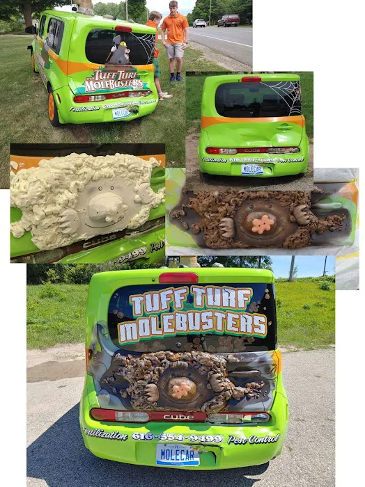 Tuff Turf Picture 9