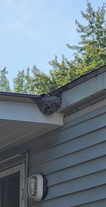 proof. Pest Control Picture 1