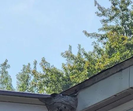 proof. Pest Control
